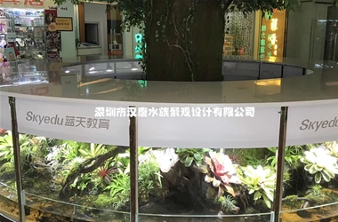 深圳蓝天教育弧形雨林缸