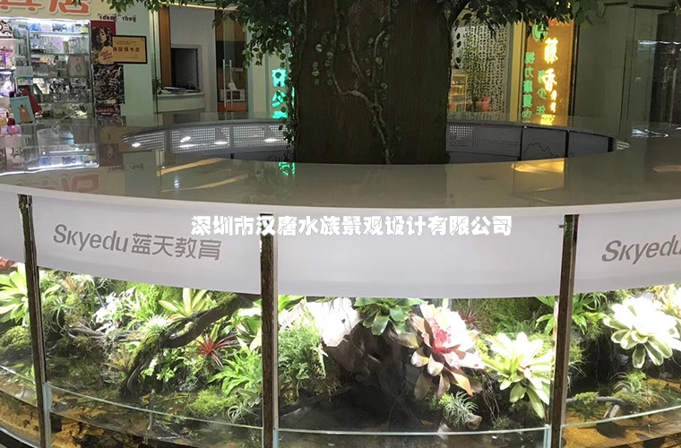 深圳蓝天教育弧形雨林缸