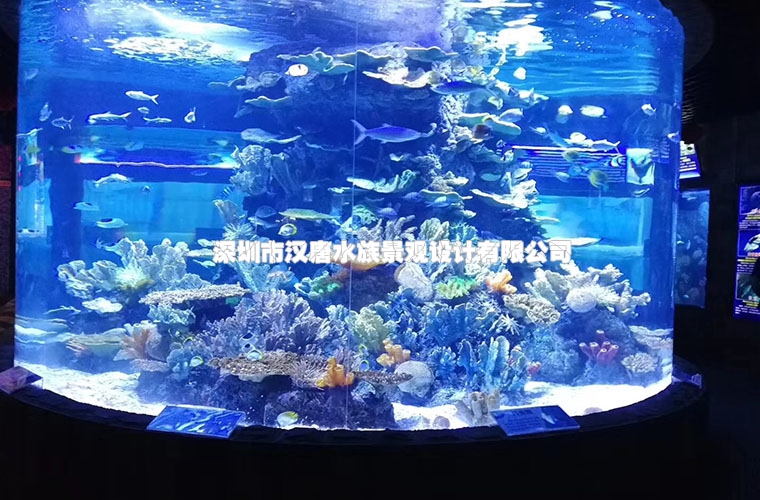 海洋馆圆柱鱼缸