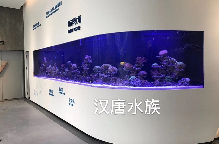 深圳坝光新区展厅