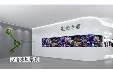 深圳坝光国际生物谷亚克力海水鱼缸项目